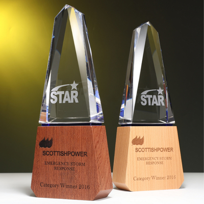 Trophy resin khusus yang dipersonalisasi