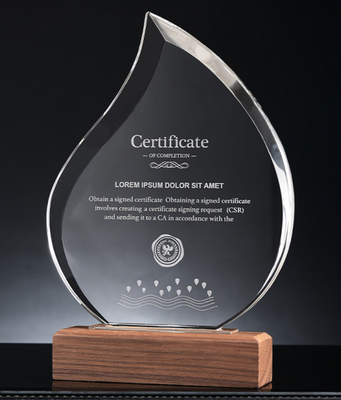 Trophy resin khusus dengan dasar kayu Trophy kristal pribadi